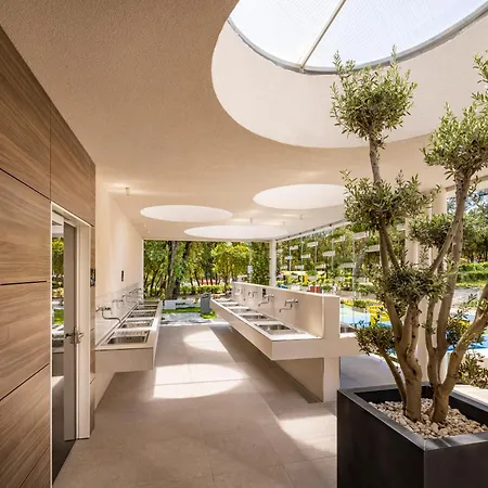 Maistra Vestar Pitches 5*