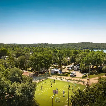 Maistra Vestar Pitches 5*