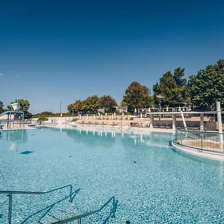 Maistra Vestar Pitches Kemping