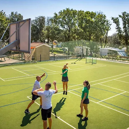 Maistra Vestar Pitches