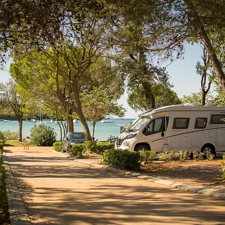 Maistra Vestar Pitches 5*