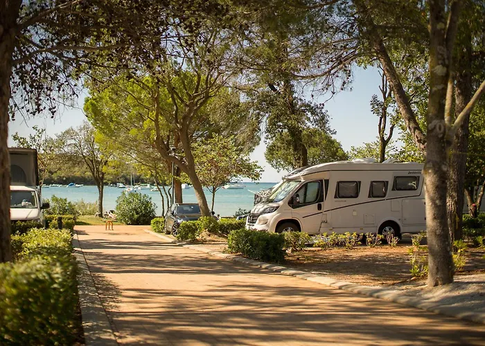 Maistra Vestar Pitches 5*